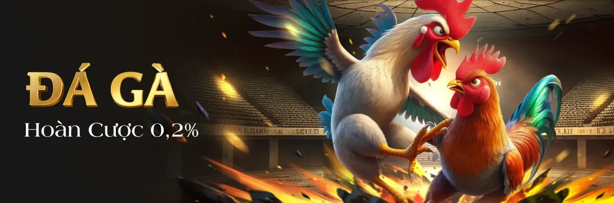 TIP88 Khuyến Mãi Hoàn Cược Tại Đá Gà