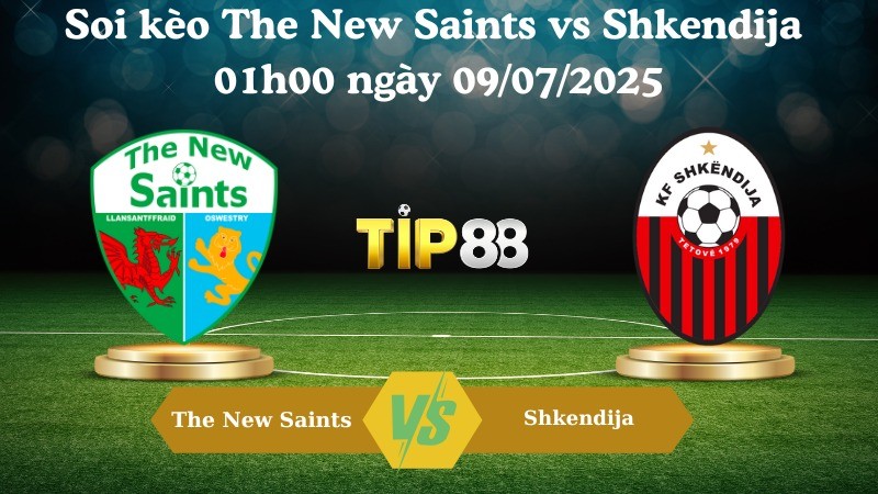 TIP88 Nhận định soi kèo The New Saints vs Shkendija 01h00 ngày 09/07/2025 - Vòng loại Champions League