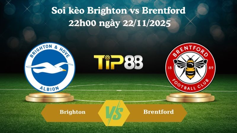 TIP88 Nhận định soi kèo Brighton vs Brentford 22h00 ngày 22/11/2025 – Ngoại hạng Anh